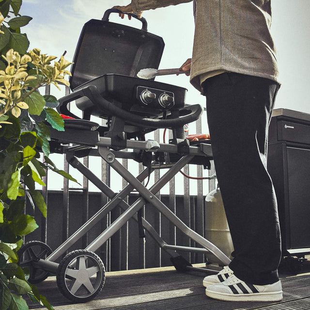 WAYNE draagbare balkongrill met 2 branders inclusief trolley