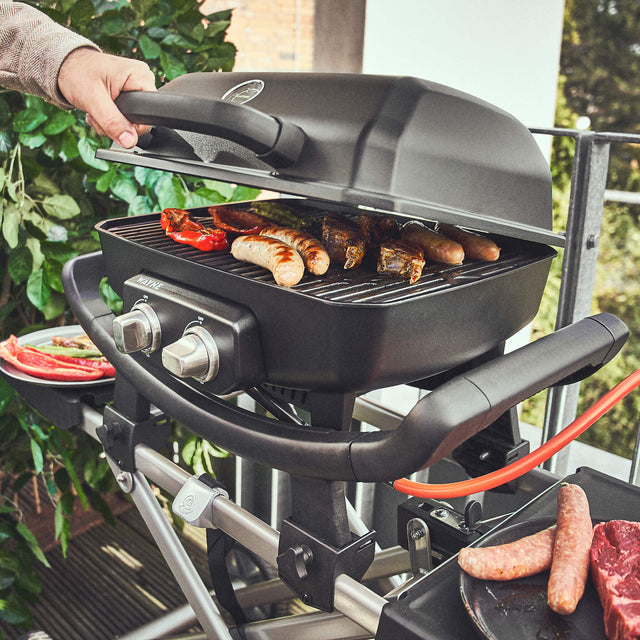 WAYNE draagbare balkongrill met 2 branders inclusief trolley